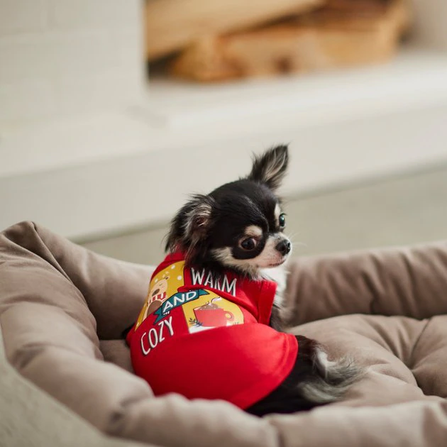 Frisco Warm & Cozy Dog & Cat T-Shirt 9 Frisco Warm & Cozy Dog & Cat T-Shirt - Image 7