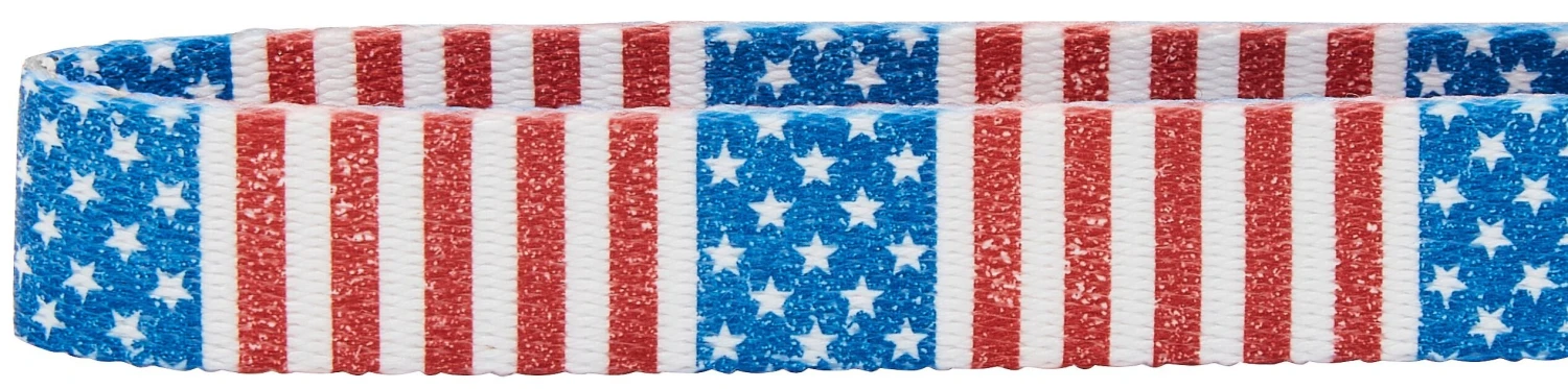 Americana Dog Collar, XS - Neck: 8 – 12-in, Width: 5/8-in Frisco Americana Dog Collar -Frisco Sales 2024 269430 PT2. SY630 V1619534217