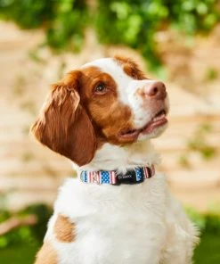 Frisco Americana Dog Collar 5 Frisco Americana Dog Collar -Frisco Sales 2024 269430 PT3. SY630 V1619535733