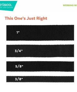 Frisco Midnight Floral Cat Collar, 8-12 Inches -Frisco Sales 2024 269490 PT6. SY630 V1629992485