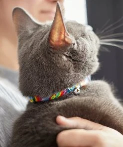 Frisco Tie Dye Cat Collar, 8-12 Inches 5 Frisco Tie Dye Cat Collar, 8-12 Inches -Frisco Sales 2024 269494 PT4. SY630 V1617037394