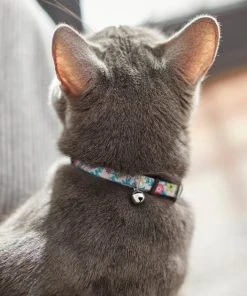 Frisco Spring Floral Cat Collar, 8-12 Inches -Frisco Sales 2024 269498 PT4. SY630 V1617037453