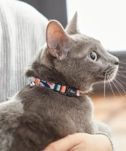 Frisco Spring Reef Life Collar, 8-12 Inches 10 Frisco Spring Reef Life Collar, 8-12 Inches -Frisco Sales 2024 269500 PT4. SY630 V1617037320