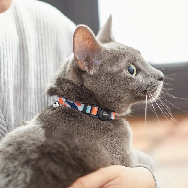 Frisco Spring Reef Life Collar, 8-12 Inches 6 Frisco Spring Reef Life Collar, 8-12 Inches - Image 4