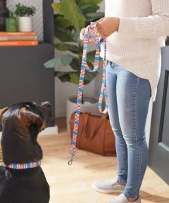 Frisco Americana Dog Leash -Frisco Sales 2024 269502 PT3. SY630 V1619536665