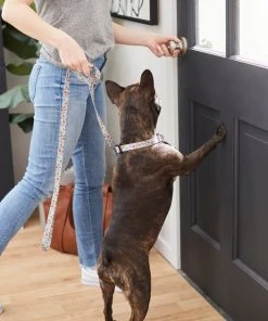 Frisco Traffic Signs Dog Leash -Frisco Sales 2024 269506 PT3. SY630 V1619535428