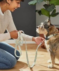 Frisco Ice Cream Party Dog Leash -Frisco Sales 2024 269549 PT3. SY630 V1619537401