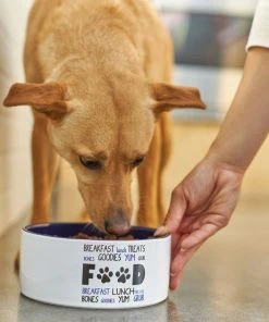 Frisco Food & Paw Non-skid Ceramic Dog Bowl -Frisco Sales 2024 270194 PT2. SY630 V1620761622