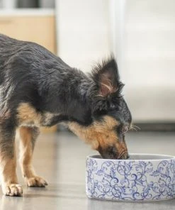 Frisco Blue Garden Non-skid Ceramic Dog Bowl -Frisco Sales 2024 270197 PT2. SY630 V1620762069