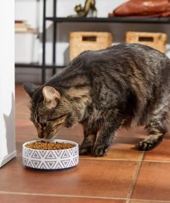 Frisco Tribal Aztec Non-skid Ceramic Dog & Cat Bowl -Frisco Sales 2024 270217 PT3. SY630 V1620762202