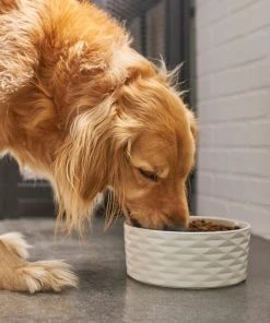 Frisco Geometric Non-skid Ceramic Dog Bowl 10 Frisco Geometric Non-skid Ceramic Dog Bowl -Frisco Sales 2024 270224 PT2. SY630 V1620762188