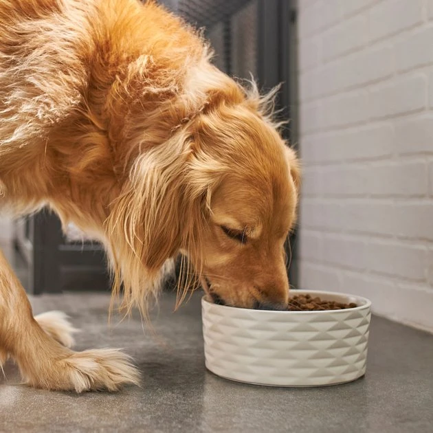 Frisco Geometric Non-skid Ceramic Dog Bowl 5 Frisco Geometric Non-skid Ceramic Dog Bowl - Image 3