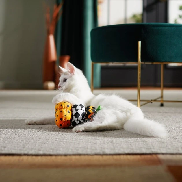 Frisco Halloween Fancy Pumpkin Plush Kicker Cat Toy with Catnip Frisco Halloween Fancy Pumpkin Plush Kicker Cat Toy with Catnip -Frisco Sales 2024 270286 PT3. SY630 V1624824856