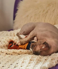 Frisco Halloween Good Bear, Bad Bear Reversible Plush Cat Toy with Catnip -Frisco Sales 2024 270299 PT3. SY630 V1624817131