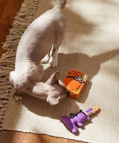 Frisco Halloween Monster Book & Candle Plush Cat Toy with Catnip, 2 count 4 Frisco Halloween Monster Book & Candle Plush Cat Toy with Catnip, 2 count -Frisco Sales 2024 270321 PT3. SY630 V1624824924