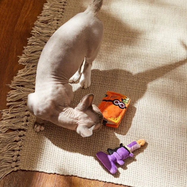 Frisco Halloween Monster Book & Candle Plush Cat Toy with Catnip, 2 count Frisco Halloween Monster Book & Candle Plush Cat Toy with Catnip, 2 count -Frisco Sales 2024 270321 PT3. SY630 V1624824924