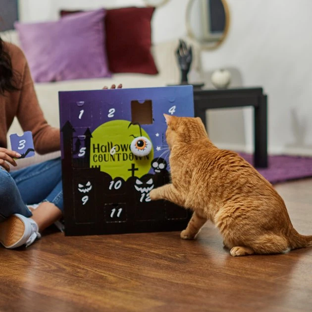 Frisco Halloween 13 Day Advent Calendar with Toys for Cats Frisco Halloween 13 Day Advent Calendar with Toys for Cats -Frisco Sales 2024 270351 PT3. SY630 V1624817042