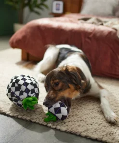 Frisco Halloween Fancy Pumpkin 2-in-1 Plush Squeaky Dog Toy -Frisco Sales 2024 270359 PT3. SY630 V1624817665