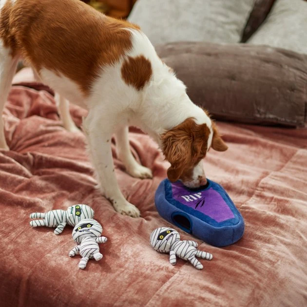 Frisco Halloween Mummy & Coffin Hide & Seek Puzzle Plush Squeaky Dog Toy 6 Frisco Halloween Mummy & Coffin Hide & Seek Puzzle Plush Squeaky Dog Toy - Image 4