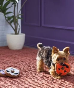 Frisco Halloween Donuts Plush Squeaky Dog Toy, 3 count -Frisco Sales 2024 270369 PT3. SY630 V1624817409