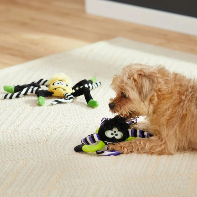 Frisco Spider Plush Squeaky Dog Toy, Small/Medium Frisco Spider Plush Squeaky Dog Toy -Frisco Sales 2024 270379 PT3. SY630 V1624817736