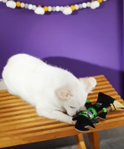 Frisco Halloween Good Witch, Bad Witch Reversible Plush Squeaky Dog Toy 9 Frisco Halloween Good Witch, Bad Witch Reversible Plush Squeaky Dog Toy -Frisco Sales 2024 270429 PT3. SY630 V1624817643