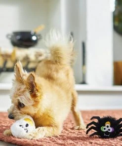 Frisco Halloween Spider & Ghost Plush Squeaky Dog Toy, 2 count -Frisco Sales 2024 270433 PT3. SY630 V1624817501
