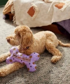 Frisco Halloween My First Halloween Bone Reversible Plush Squeaky Dog Toy -Frisco Sales 2024 270452 PT3. SY630 V1624817314