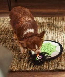 Frisco Spider's Web & Spider Flat Plush Interactive Squeaky Dog Toy, 2 count -Frisco Sales 2024 270458 PT3. SY630 V1624817520
