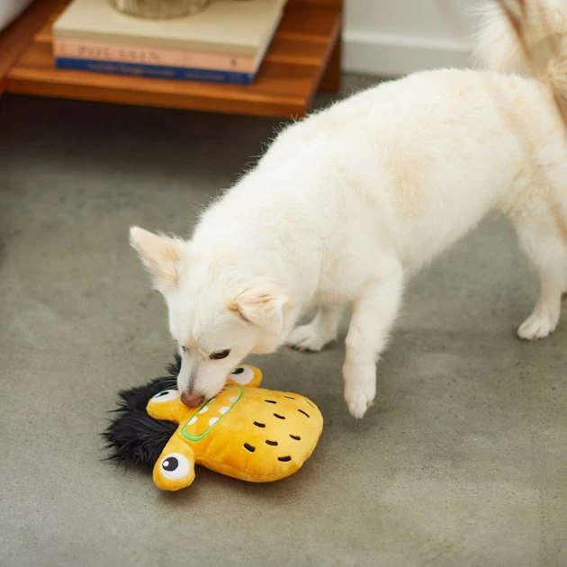 Frisco Friendly Monster Round Plush Squeaky Dog Toy 5 Frisco Friendly Monster Round Plush Squeaky Dog Toy - Image 3