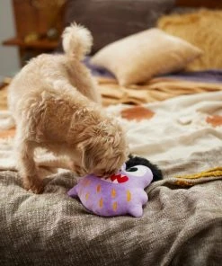 Frisco Friendly Monster Round Plush Squeaky Dog Toy -Frisco Sales 2024 270468 PT3. SY630 V1624817404