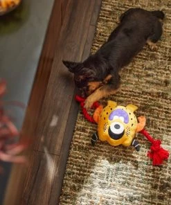 Frisco Friendly Monster Plush with Rope Squeaky Dog Toy 4 Frisco Friendly Monster Plush with Rope Squeaky Dog Toy -Frisco Sales 2024 270474 PT3. SY630 V1624824917