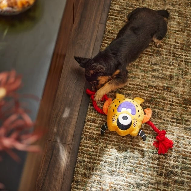 Frisco Friendly Monster Plush with Rope Squeaky Dog Toy Frisco Friendly Monster Plush with Rope Squeaky Dog Toy -Frisco Sales 2024 270474 PT3. SY630 V1624824917
