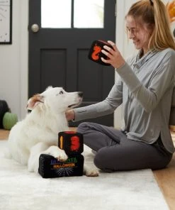 Frisco Halloween 30 Days of Halloween Countdown Blocks Plush Squeaky Dog Toy, 3 count 7 Frisco Halloween 30 Days of Halloween Countdown Blocks Plush Squeaky Dog Toy, 3 count -Frisco Sales 2024 270494 PT3. SY630 V1624817483
