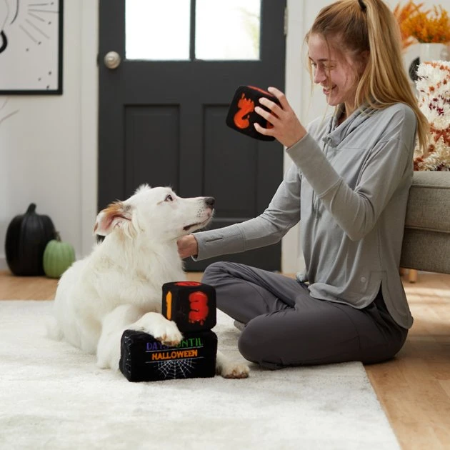 Frisco Halloween 30 Days of Halloween Countdown Blocks Plush Squeaky Dog Toy, 3 count 5 Frisco Halloween 30 Days of Halloween Countdown Blocks Plush Squeaky Dog Toy, 3 count - Image 3