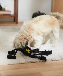 Frisco Halloween Spider Rope Dog Toy -Frisco Sales 2024 270504 PT3. SY630 V1624825021