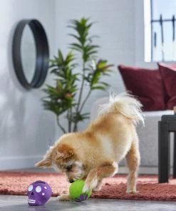 Frisco Halloween Sugar Skulls Latex Squeaky Dog Toy, 2 count 4 Frisco Halloween Sugar Skulls Latex Squeaky Dog Toy, 2 count -Frisco Sales 2024 270518 PT3. SY630 V1624825050