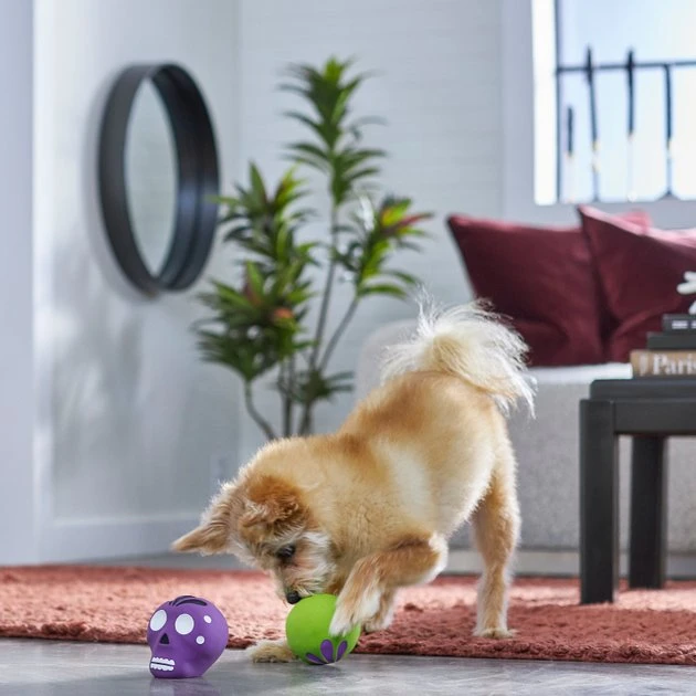 Frisco Halloween Sugar Skulls Latex Squeaky Dog Toy, 2 count Frisco Halloween Sugar Skulls Latex Squeaky Dog Toy, 2 count -Frisco Sales 2024 270518 PT3. SY630 V1624825050