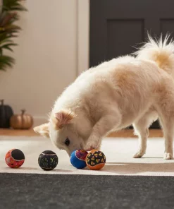 Frisco Halloween Glow in the Dark Fetch Squeaky Tennis Ball Dog Toy, 4 count 10 Frisco Halloween Glow in the Dark Fetch Squeaky Tennis Ball Dog Toy, 4 count -Frisco Sales 2024 270525 PT3. SY630 V1624824980