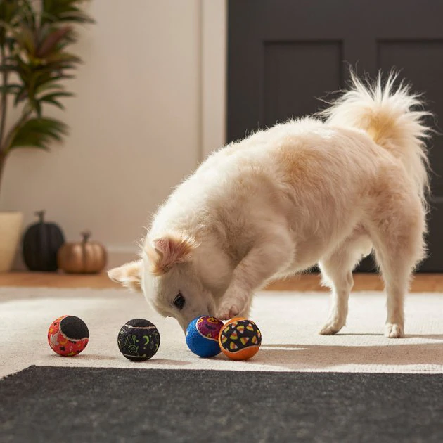 Frisco Halloween Glow in the Dark Fetch Squeaky Tennis Ball Dog Toy, 4 count 6 Frisco Halloween Glow in the Dark Fetch Squeaky Tennis Ball Dog Toy, 4 count - Image 4