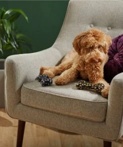 Frisco Halloween Candy Corn & Ghosts TPR Bone Squeaky Dog Toy, 2 count -Frisco Sales 2024 270529 PT3. SY630 V1624817291