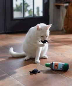 Frisco Camping Bug Spray Plush Cat Toy with Catnip, 3 count -Frisco Sales 2024 270969 PT3. SY630 V1625009346