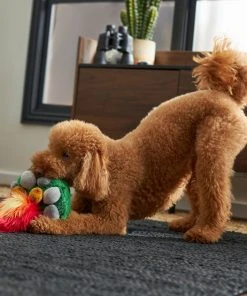 Frisco Camping Campfire Plush Squeaky Dog Toy 7 Frisco Camping Campfire Plush Squeaky Dog Toy -Frisco Sales 2024 270987 PT3. SY630 V1625009045