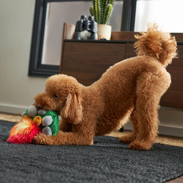 Frisco Camping Campfire Plush Squeaky Dog Toy 5 Frisco Camping Campfire Plush Squeaky Dog Toy - Image 3