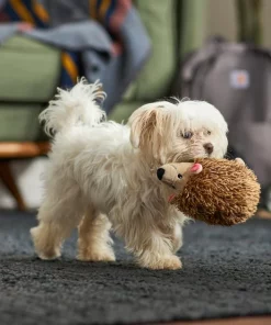 Frisco Camping Hedgehog Plush Squeaky Dog Toy -Frisco Sales 2024 270995 PT3. SY630 V1625009251