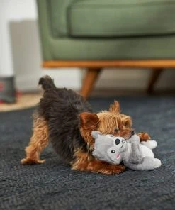 Frisco Camping Squirrel Plush Squeaky Dog Toy -Frisco Sales 2024 271001 PT3. SY630 V1625009206