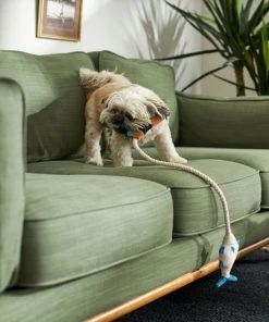 Frisco Camping Fishing Rod Plush with Rope Squeaky Dog Toy -Frisco Sales 2024 271015 PT3. SY630 V1625009036