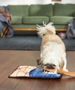 Frisco Camping Smores & Sleeping Bag Flat Plush Squeaky Dog Toy, 2 count 7 Frisco Camping Smores & Sleeping Bag Flat Plush Squeaky Dog Toy, 2 count -Frisco Sales 2024 271018 PT3. SY630 V1625009010