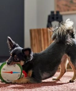 Frisco Camping Compass Plush with Rope Squeaky Dog Toy -Frisco Sales 2024 271020 PT3. SY630 V1625008965