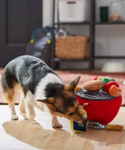 Frisco Camping BBQ Grill Hide & Seek Plush Squeaky Dog Toy -Frisco Sales 2024 271026 PT3. SY630 V1625009150